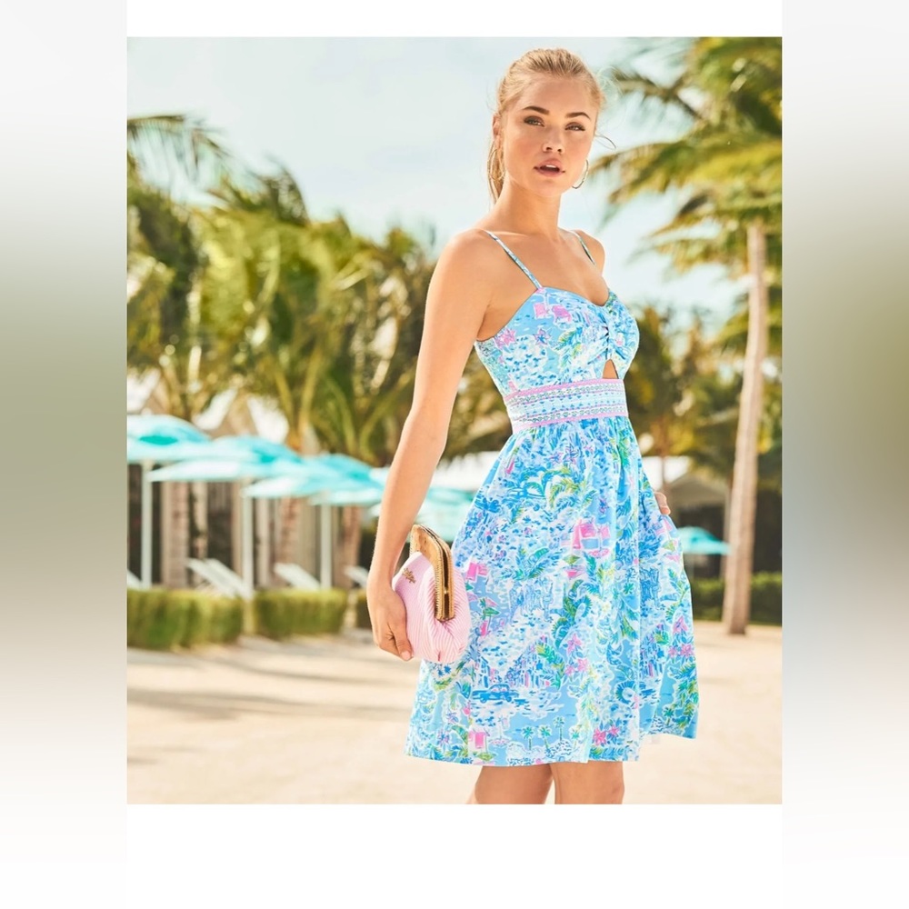 Lilly Pulitzer Blue and Pink Mini Dress